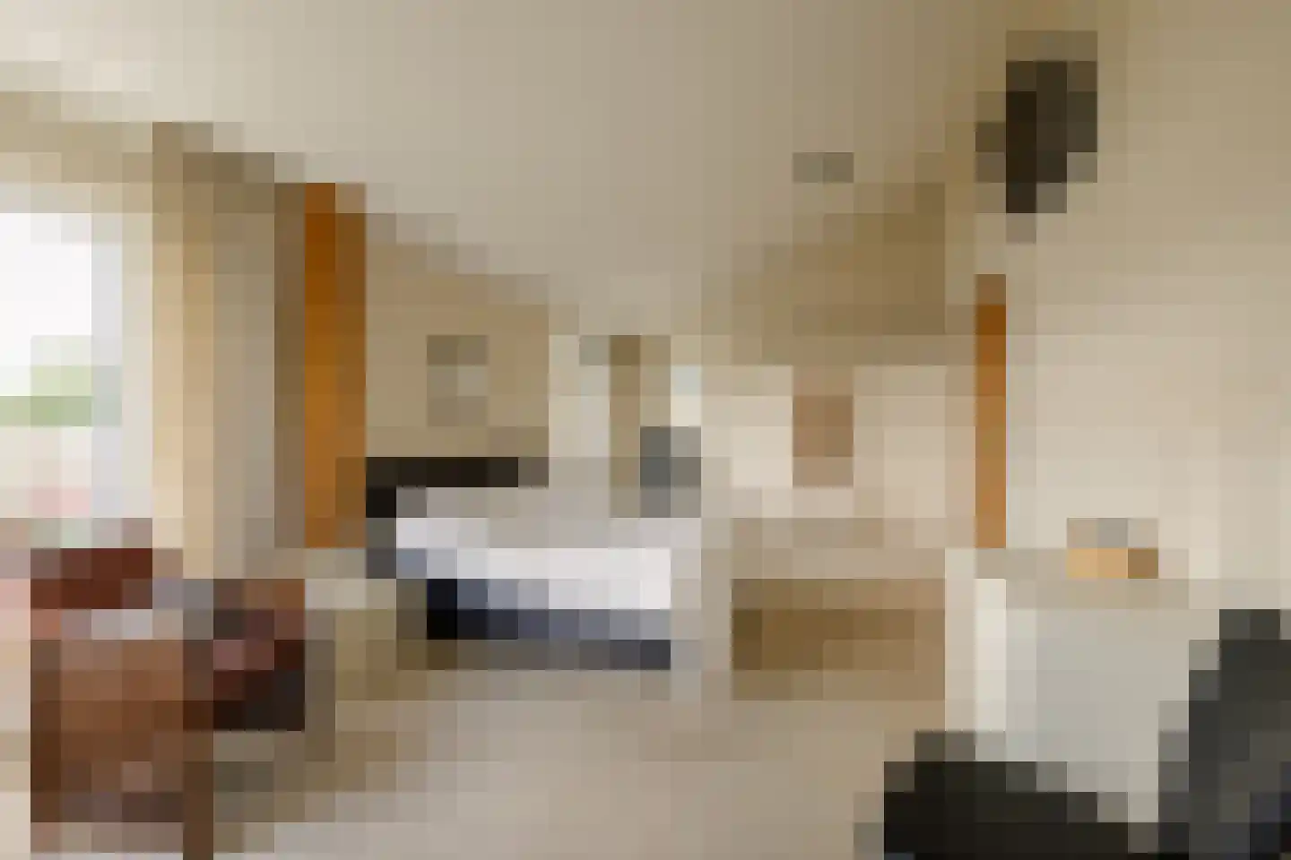 Strânwei 27 Makkum thumbnail 36