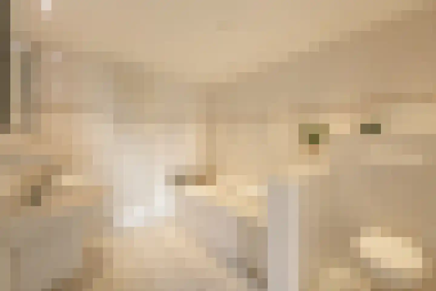 Strânwei 27 Makkum thumbnail 38