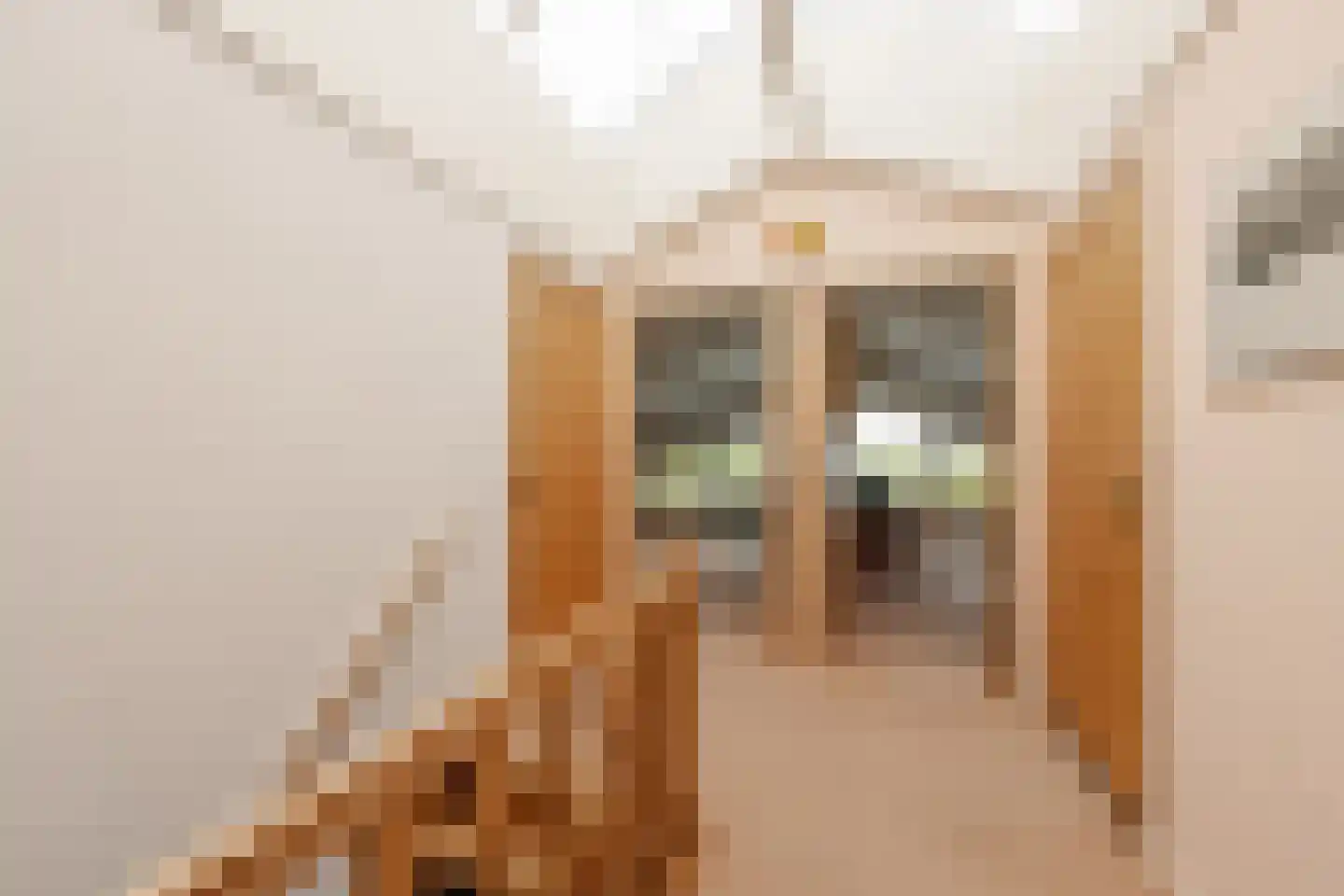 Strânwei 27 Makkum thumbnail 45