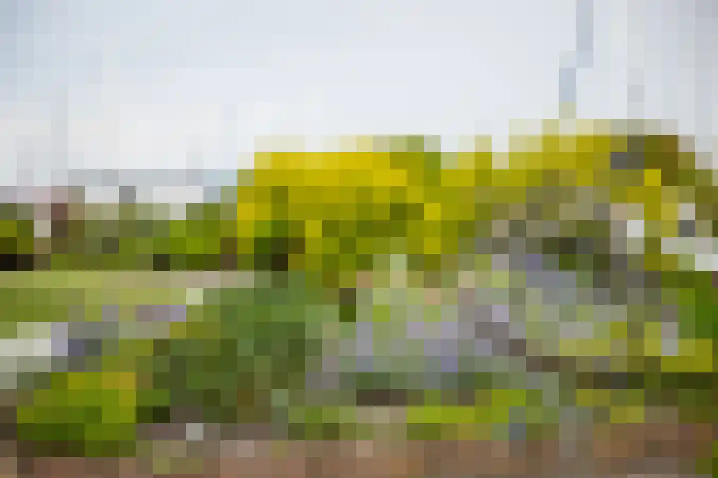 Strânwei 27 Makkum thumbnail 50