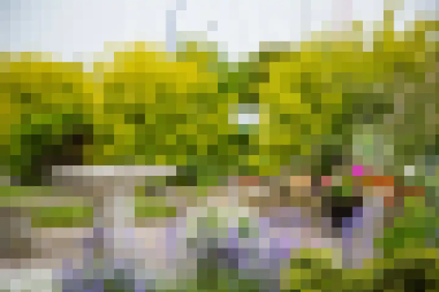 Strânwei 27 Makkum thumbnail 51