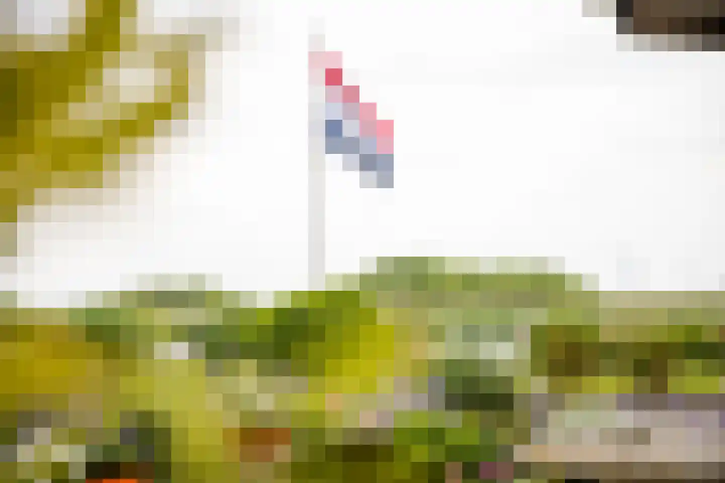 Strânwei 27 Makkum thumbnail 53