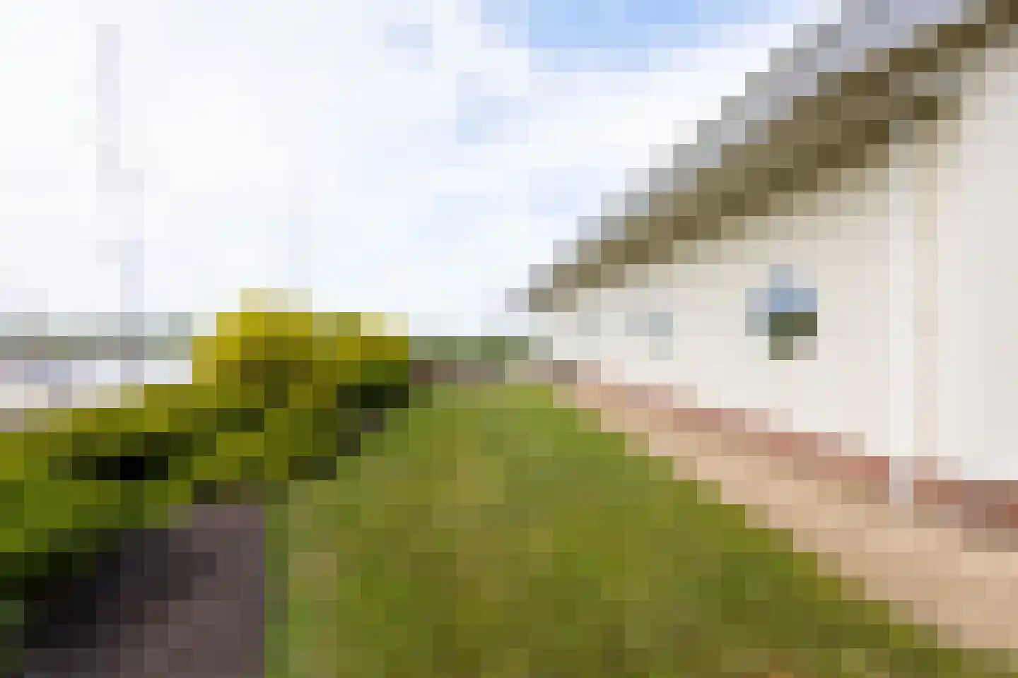 Strânwei 27 Makkum thumbnail 59