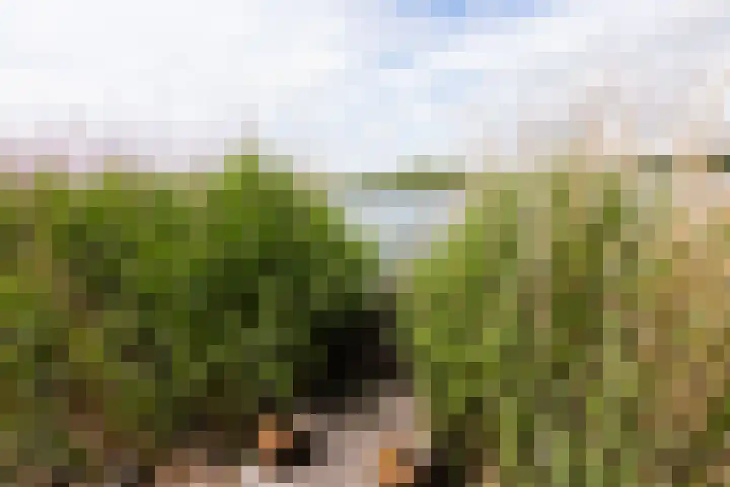 Strânwei 27 Makkum thumbnail 61