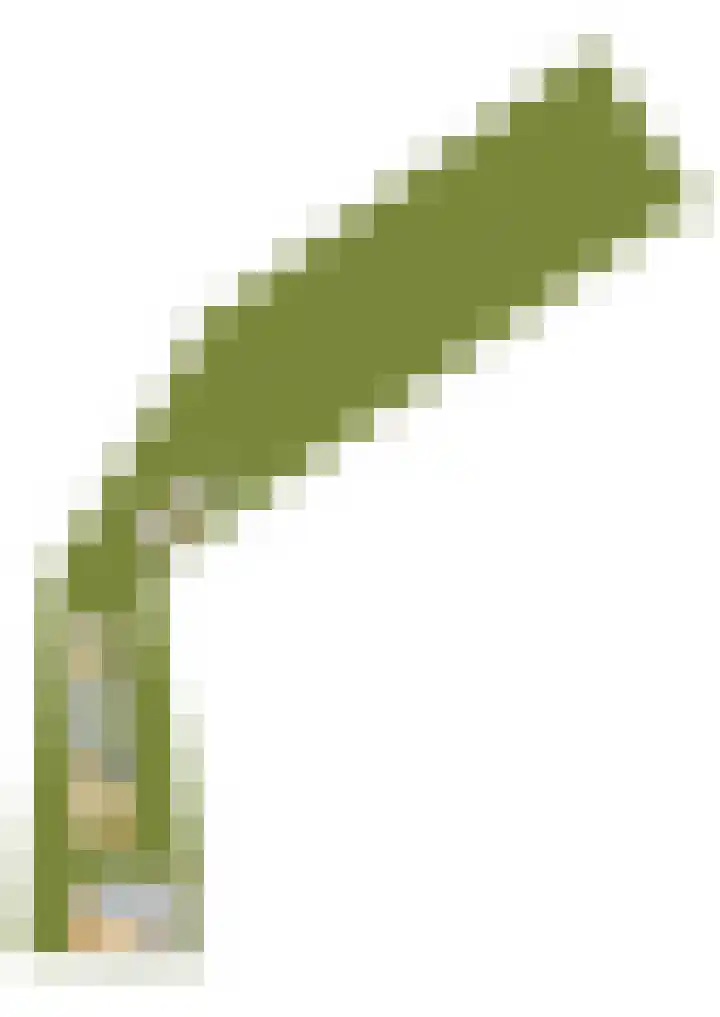 Straten 13 B Oirschot thumbnail 101