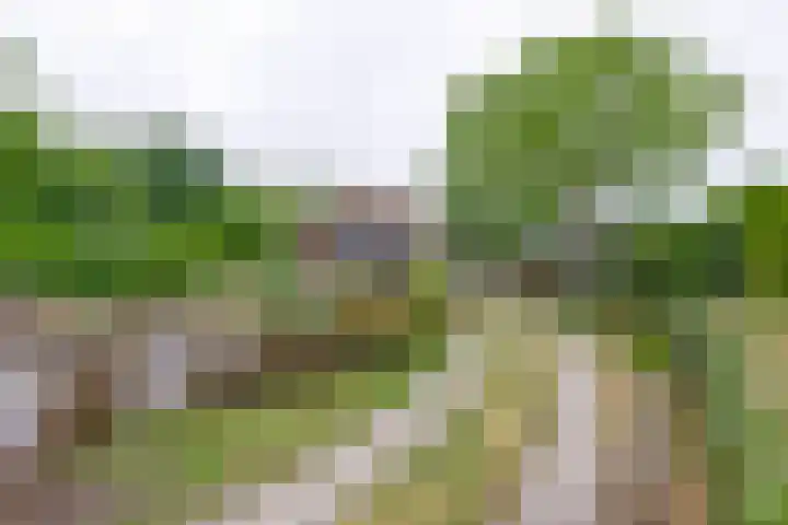 Straten 13 B Oirschot thumbnail 39