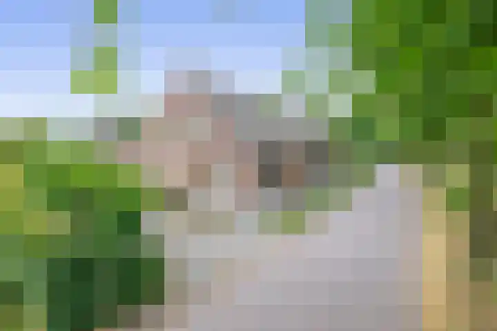 Straten 13 B Oirschot thumbnail 5