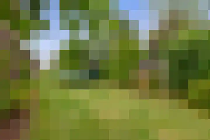 Straten 13 B Oirschot thumbnail 63