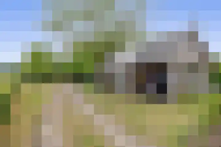 Straten 13 B Oirschot thumbnail 67
