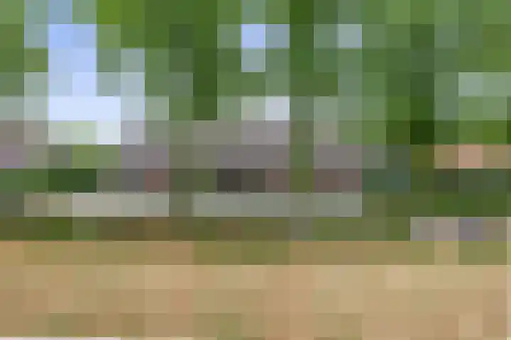 Straten 13 B Oirschot thumbnail 7
