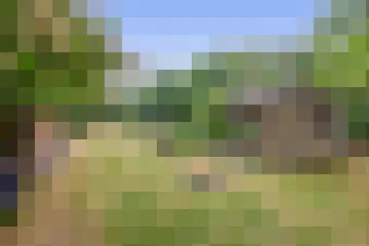 Straten 13 B Oirschot thumbnail 69