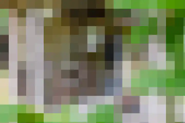 Straten 13 B Oirschot thumbnail 71