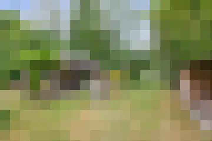 Straten 13 B Oirschot thumbnail 72