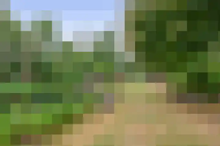 Straten 13 B Oirschot thumbnail 73