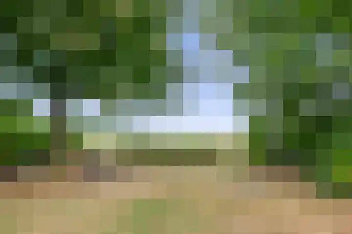 Straten 13 B Oirschot thumbnail 74