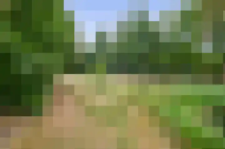 Straten 13 B Oirschot thumbnail 75