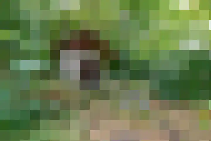 Straten 13 B Oirschot thumbnail 77