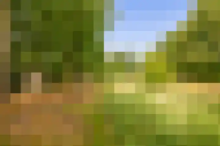 Straten 13 B Oirschot thumbnail 78