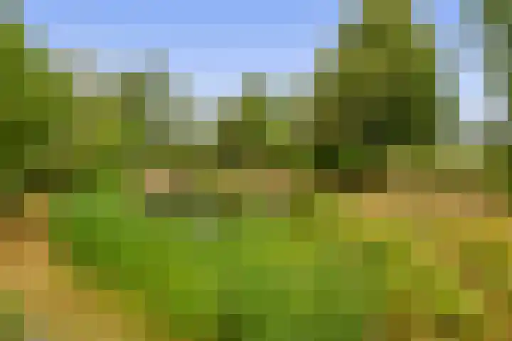 Straten 13 B Oirschot thumbnail 79