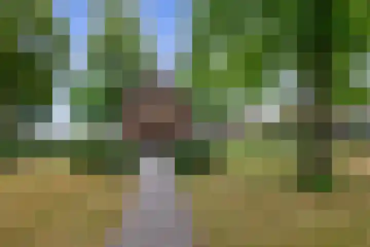 Straten 13 B Oirschot thumbnail 81