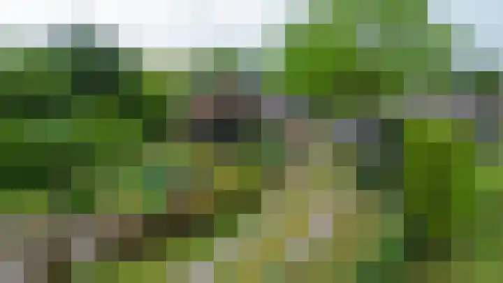 Straten 13 B Oirschot thumbnail 87