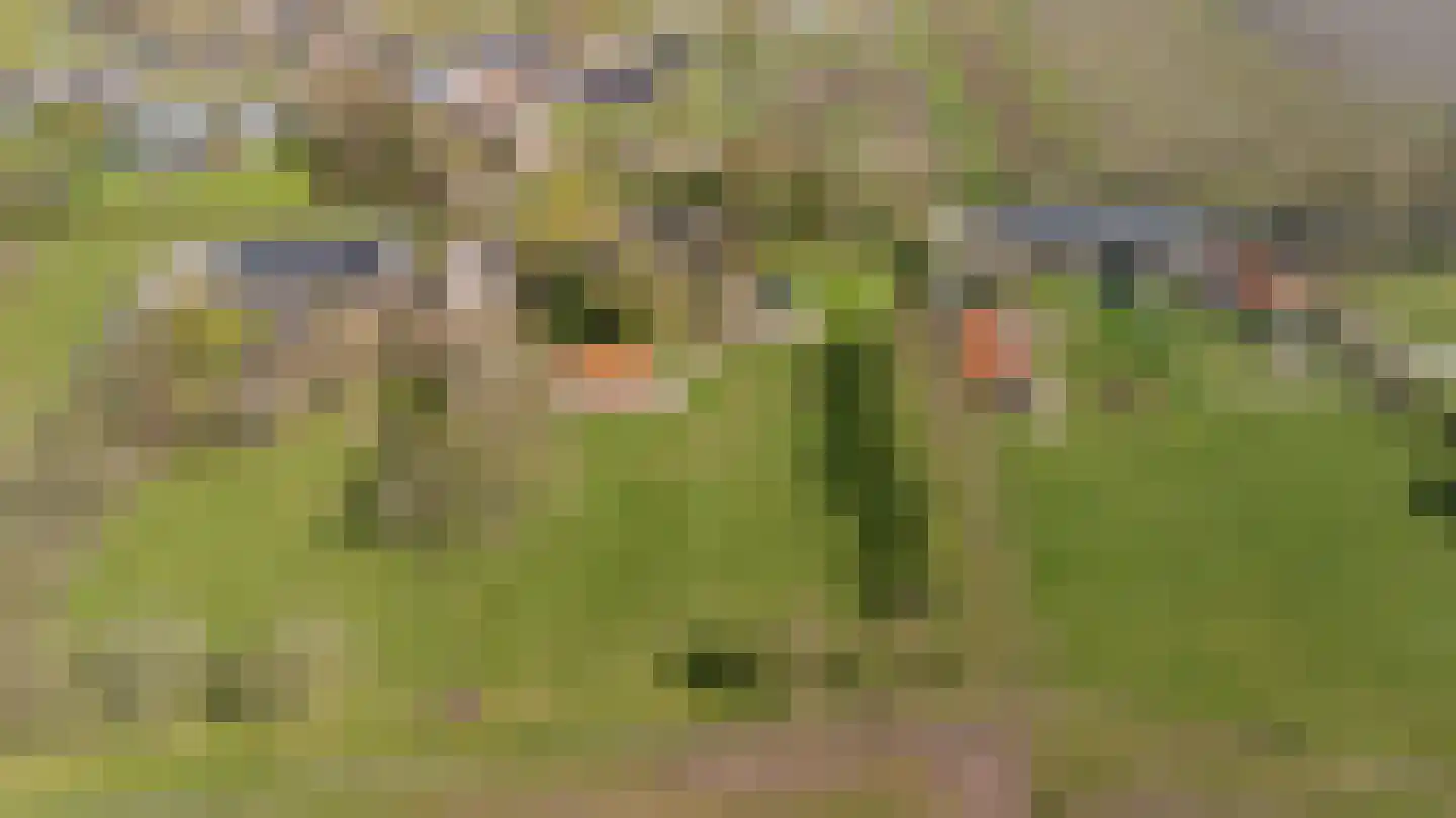 Straten 17 A Oirschot thumbnail 25