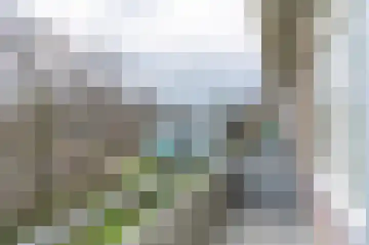 Stratenmakersveste 8 Arnhem thumbnail 14