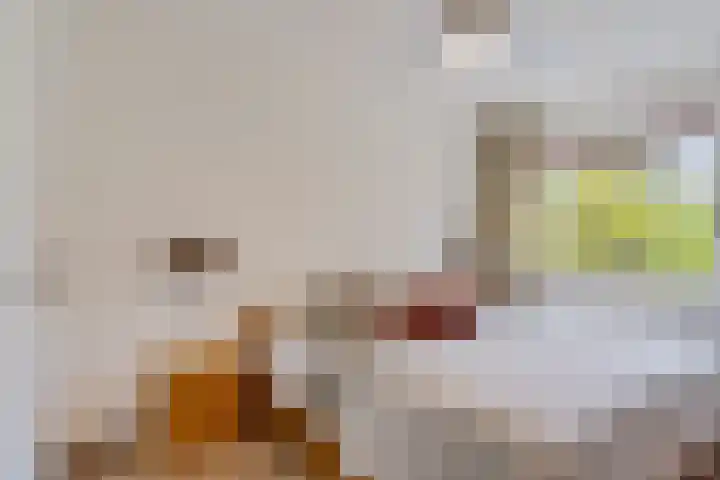 Stratenmakersveste 8 Arnhem thumbnail 23