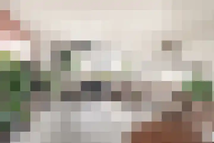 Stratenmakersveste 8 Arnhem thumbnail 33