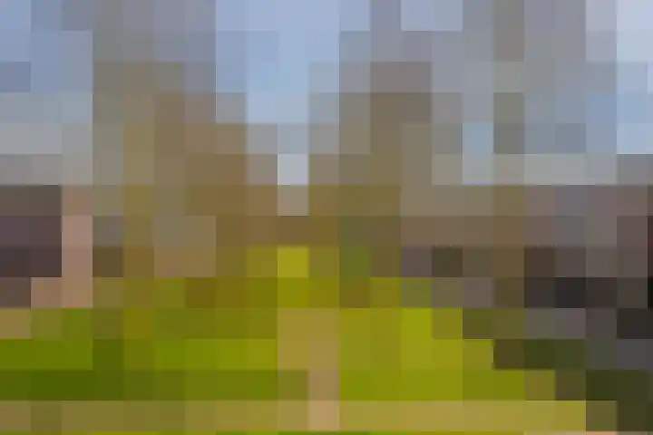 Stratenmakersveste 8 Arnhem thumbnail 34