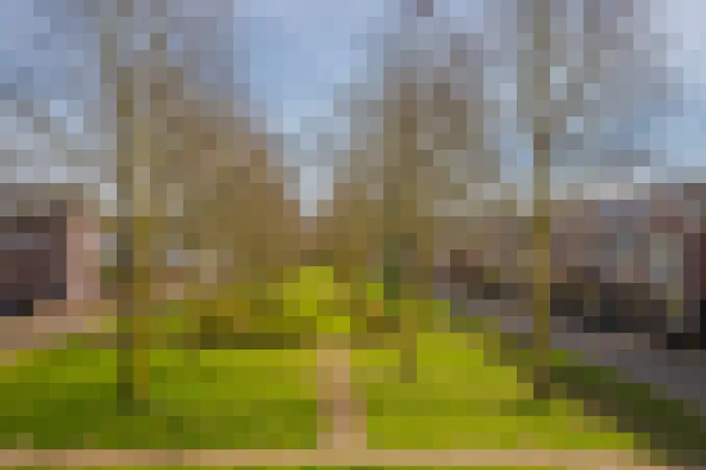 Stratenmakersveste 8 Arnhem thumbnail 5