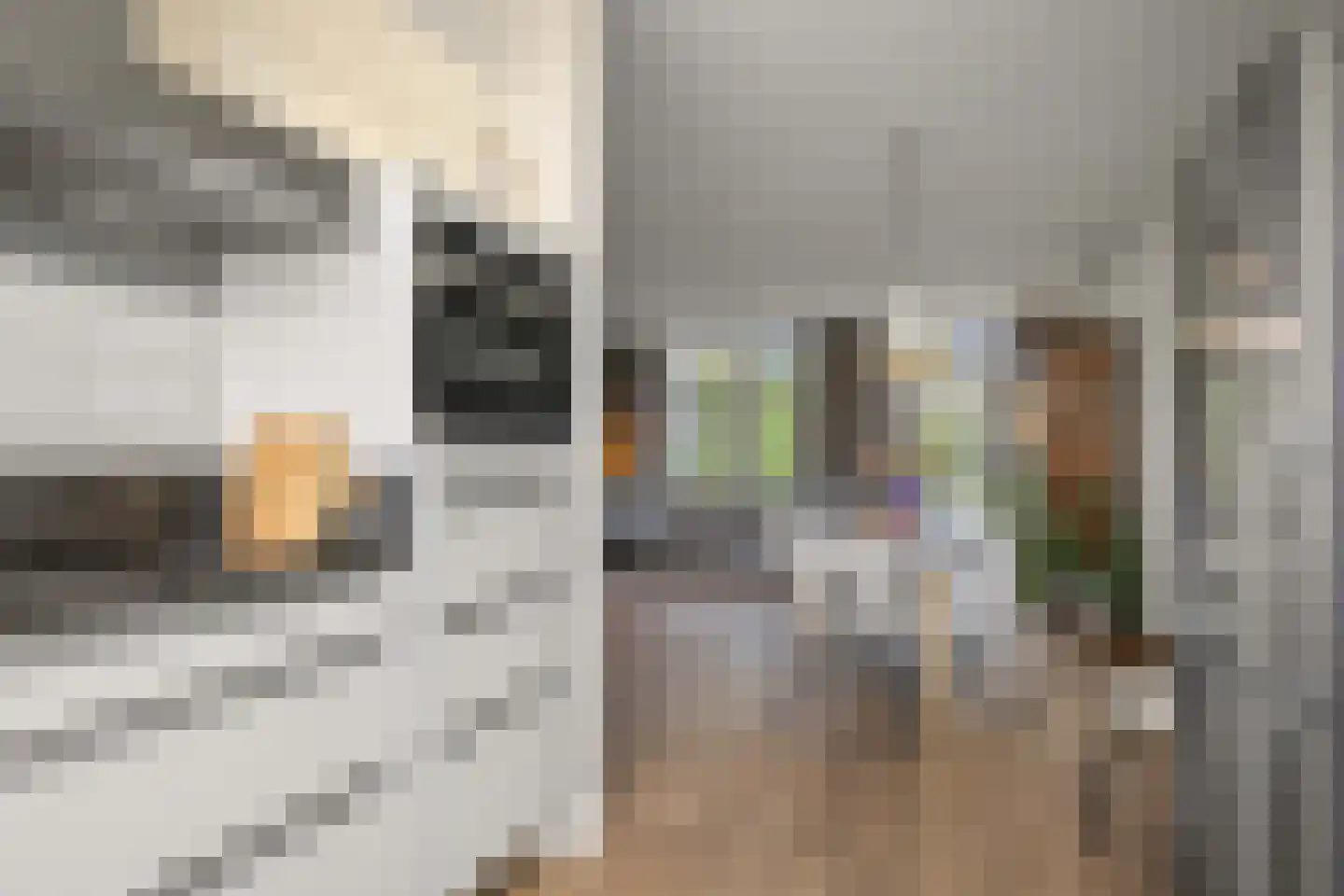 Stratenmakersveste 84 Arnhem thumbnail 15