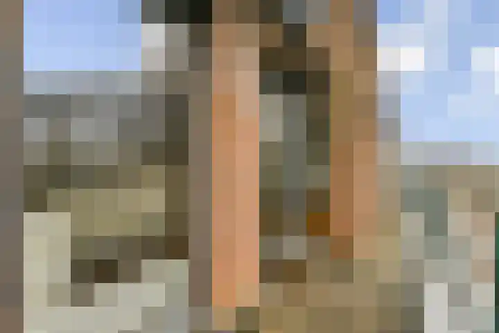 Stratingplantsoen 29 C Velsen-Noord thumbnail 15