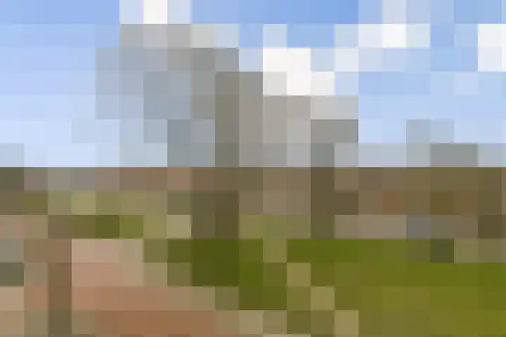 Stratingplantsoen 29 C Velsen-Noord thumbnail 16