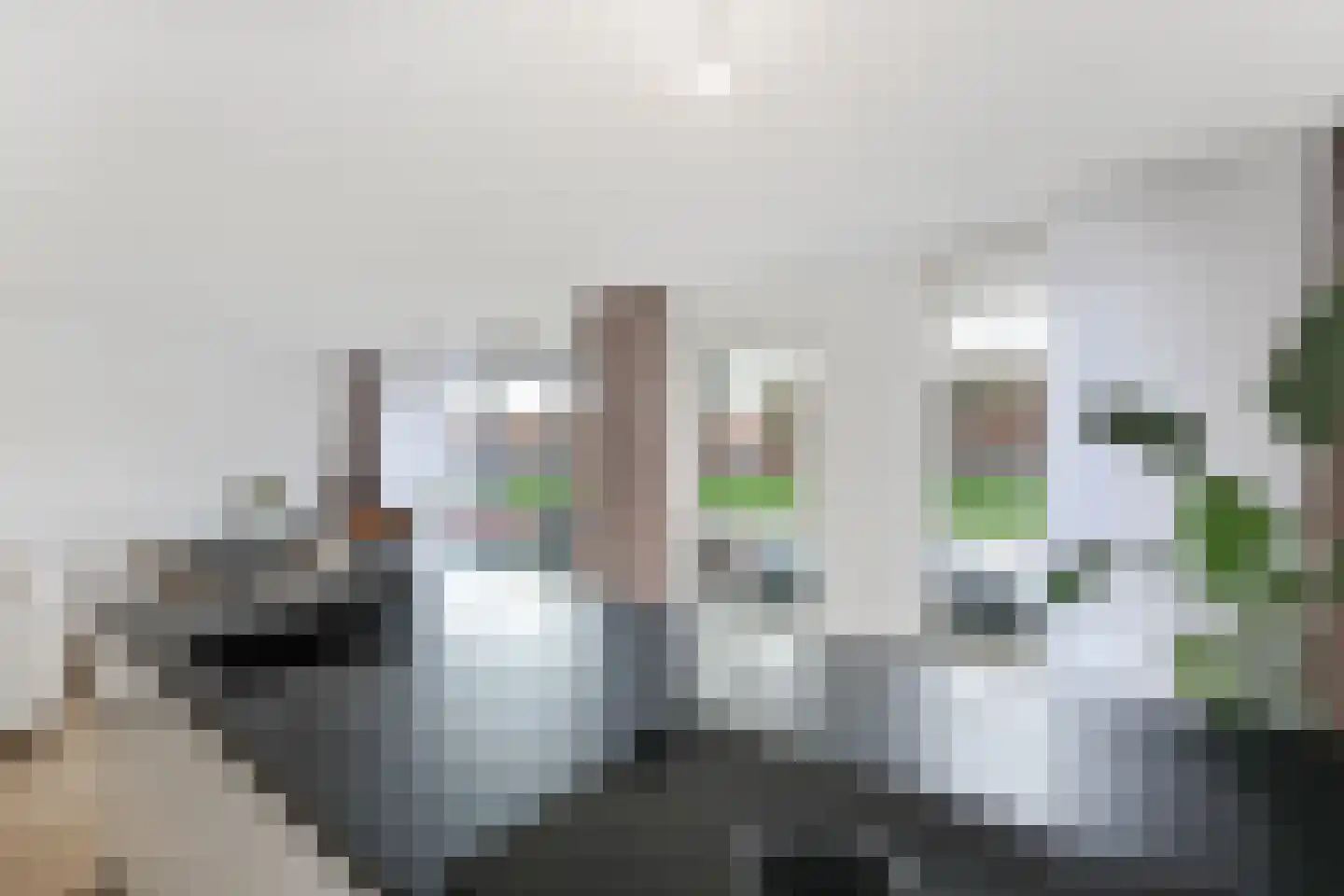 Stratingplantsoen 29 Velsen-Noord thumbnail 12