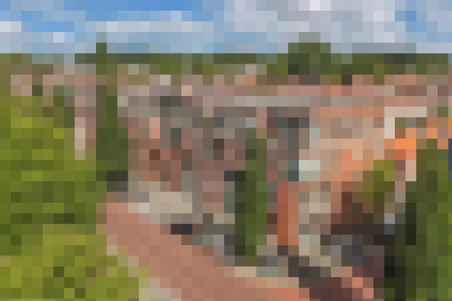 Stratingplantsoen 61 A Velsen-Noord thumbnail 33