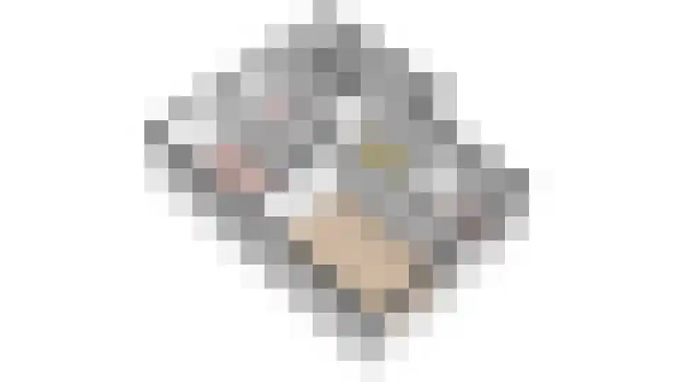 Stratingplantsoen 87 Velsen-Noord thumbnail 43