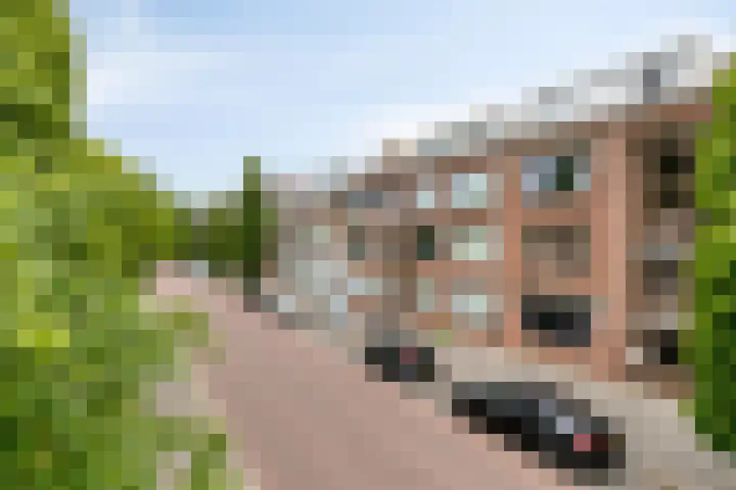Stratingplantsoen 95 Velsen-Noord thumbnail 32