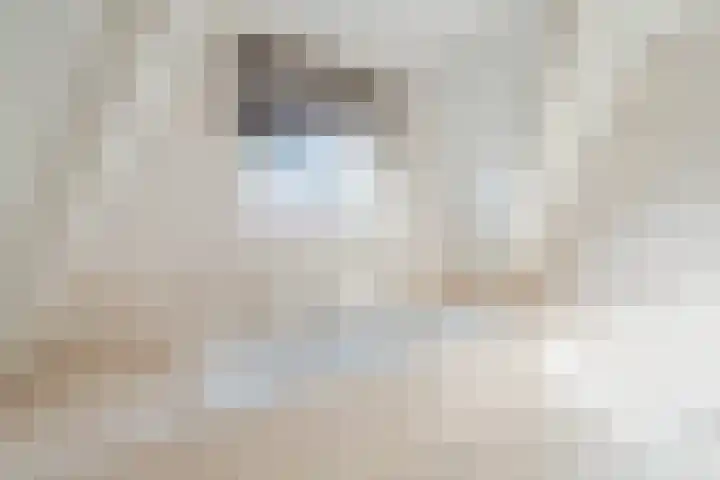 Stratosfeer 4 Heerhugowaard thumbnail 24