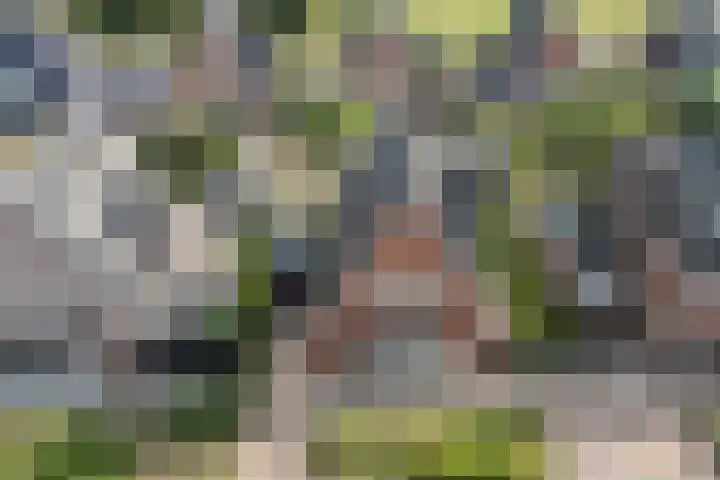 Stratosfeer 4 Heerhugowaard thumbnail 41