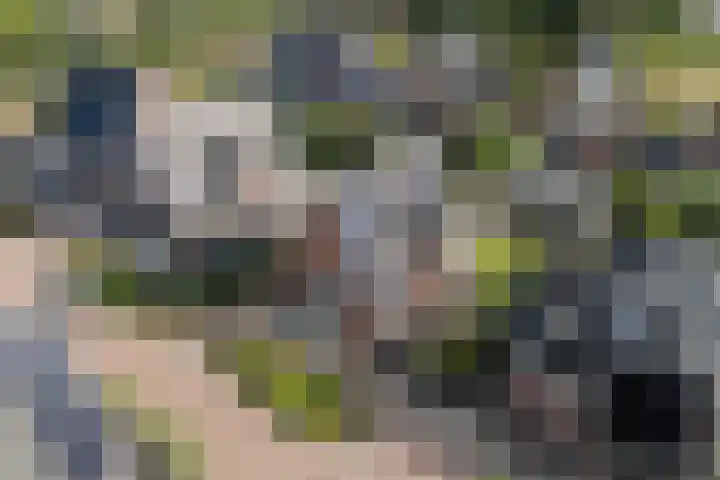 Stratosfeer 4 Heerhugowaard thumbnail 42