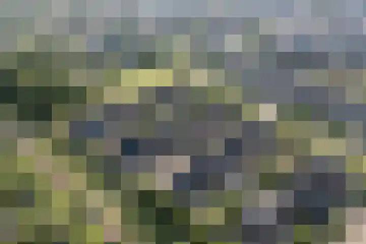 Stratosfeer 4 Heerhugowaard thumbnail 44