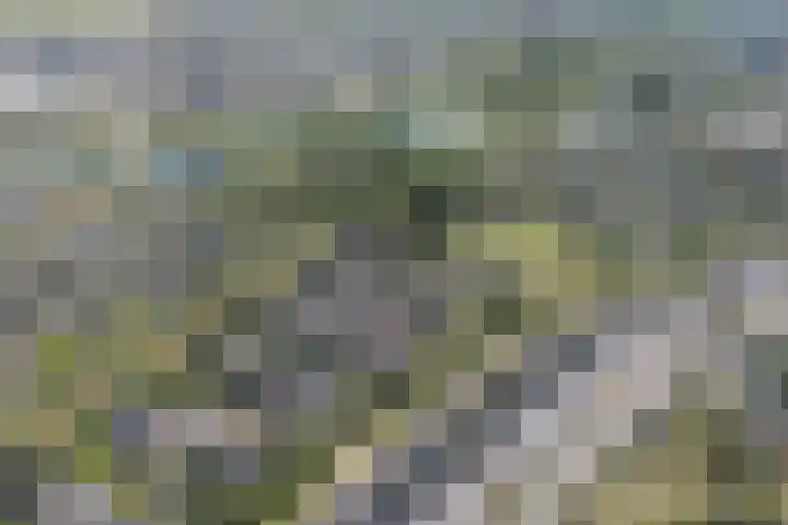 Stratosfeer 4 Heerhugowaard thumbnail 46