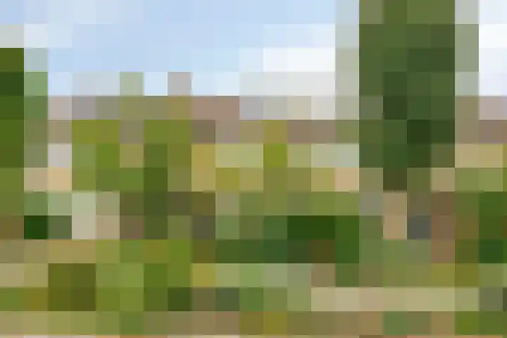 Stratosfeerstraat 145 in Dordrecht