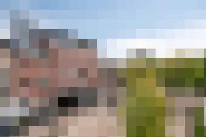 Stratumsedijk 18 N Eindhoven thumbnail 28