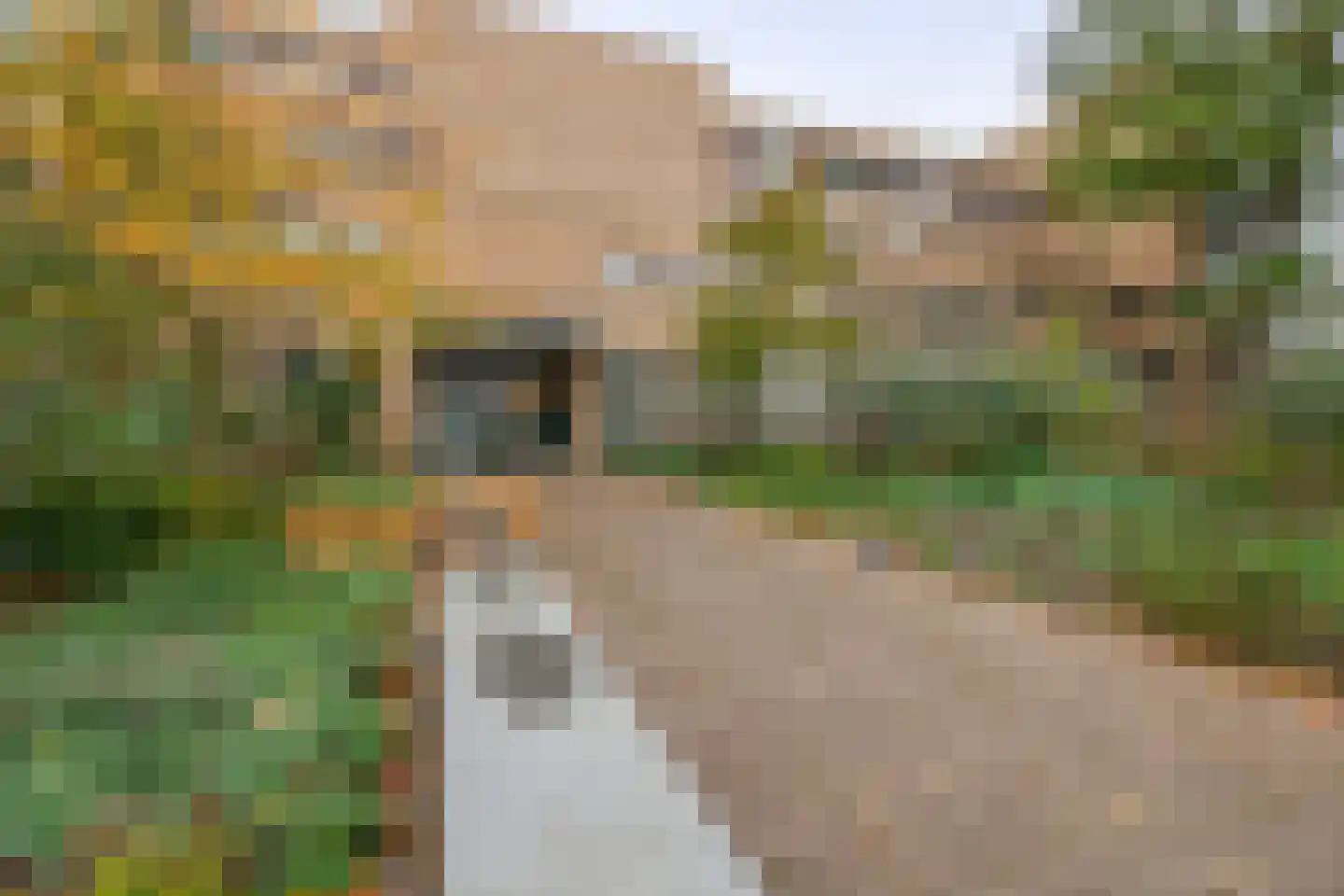 Stratumsedijk 22 A Eindhoven thumbnail 6