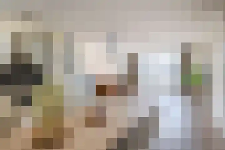 Stratumsedijk 23 41 Eindhoven thumbnail 15