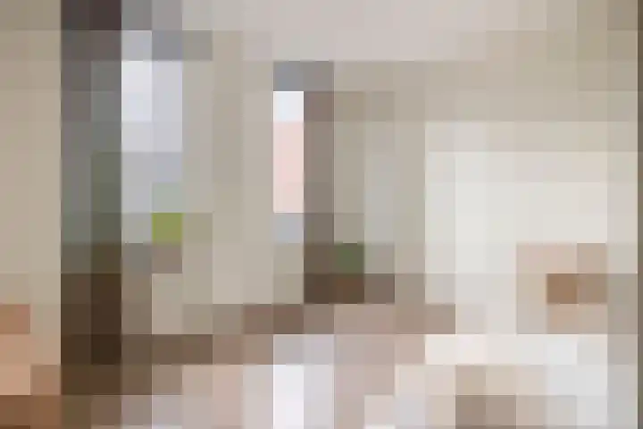 Stratumsedijk 23 41 Eindhoven thumbnail 23