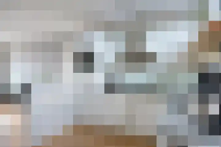 Stratumsedijk 23 43 Eindhoven thumbnail 14