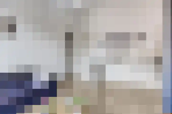 Stratumsedijk 23 83 Eindhoven thumbnail 12